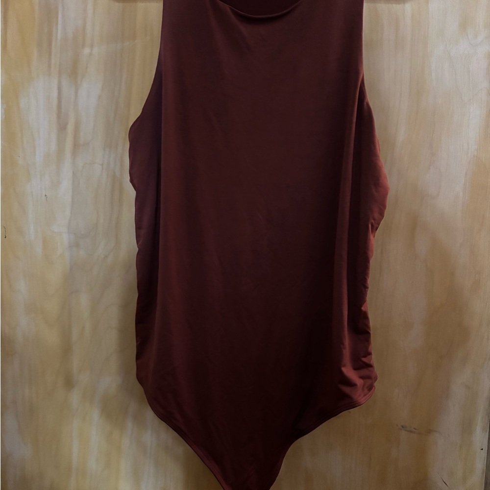 Express Sleeveless Brown Bodysuit